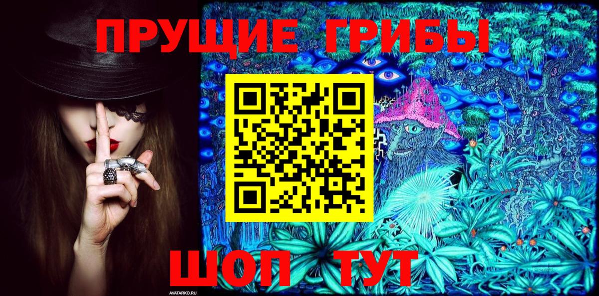 Псилоцибиновые грибы мицелий  Вход с VPN  Александров 